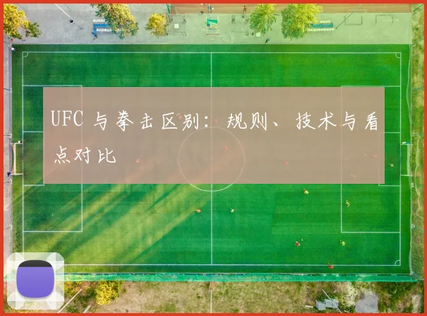 UFC 与拳击区别:规则、技术与看点对比